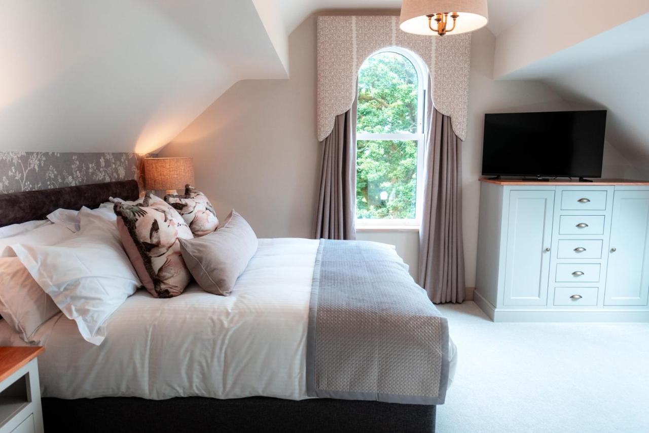 Superior King Room,1556455897:JPEG